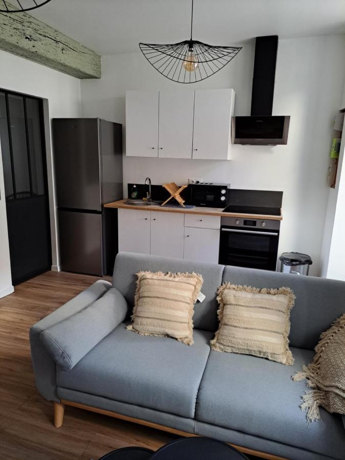 Apartament Echappee Belle En Plein Coeur D Auxerre Zewnętrze zdjęcie