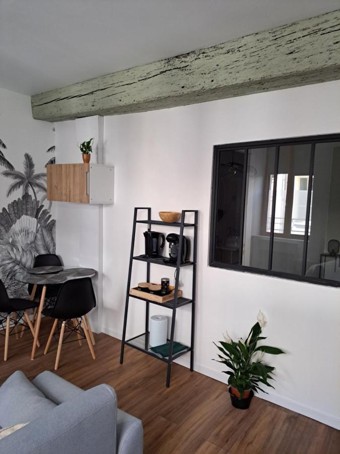 Apartament Echappee Belle En Plein Coeur D Auxerre Zewnętrze zdjęcie